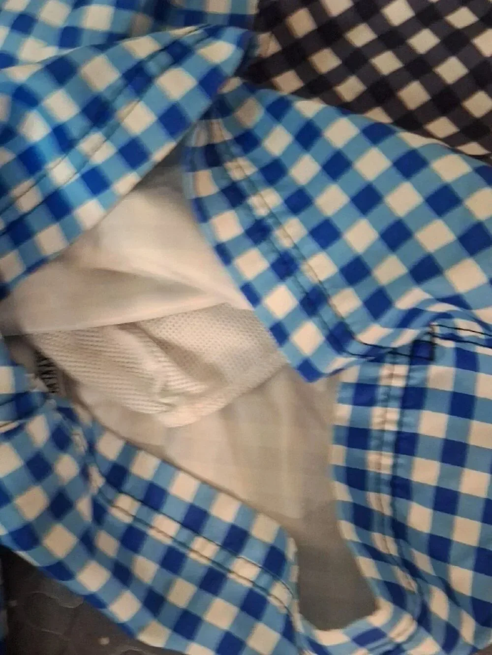 Lands' End Draper James Blue & White Gingham Swim Shorts size Large